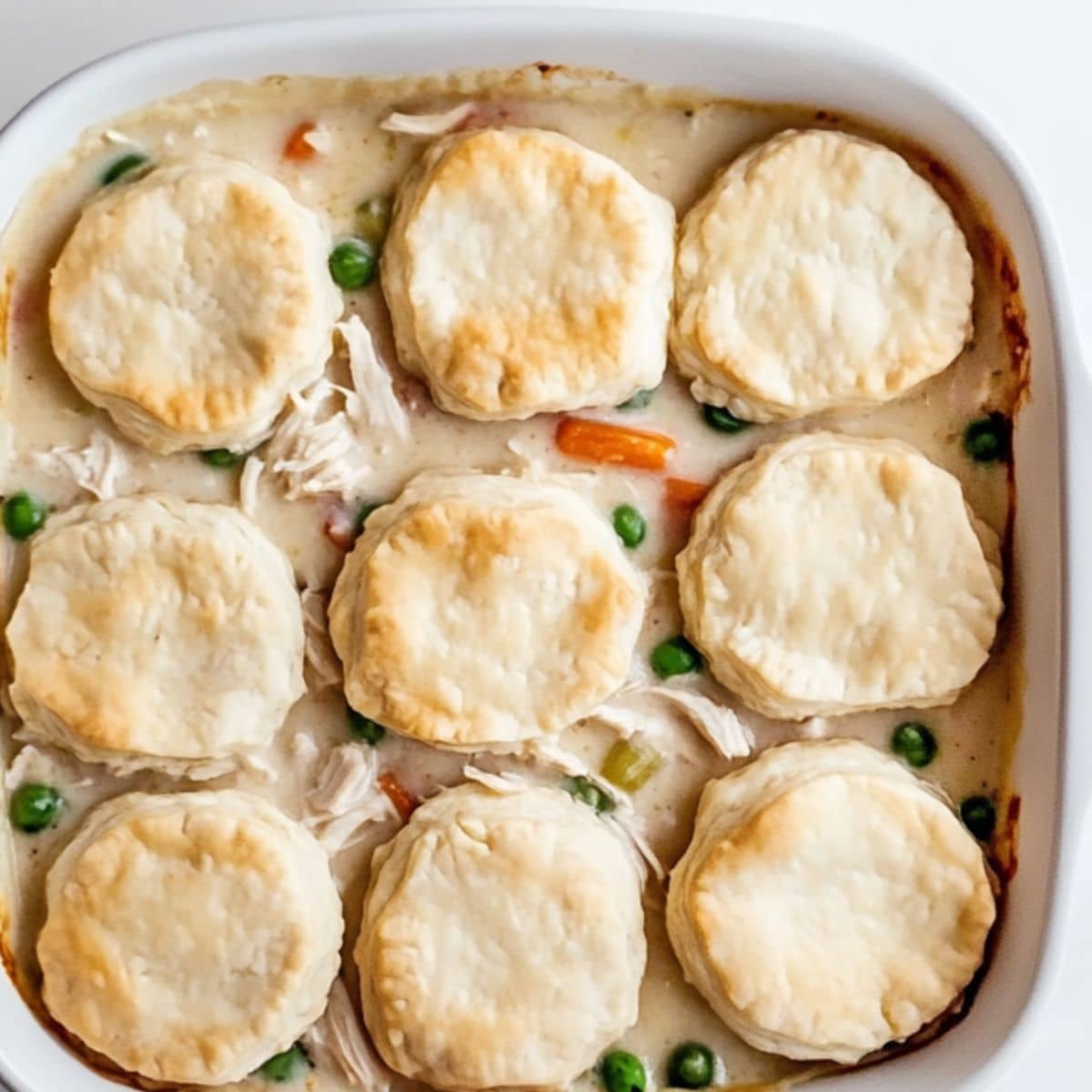 Unbaked chicken pot pie casserole topped with biscuit rounds spaced evenly over creamy filling in a white baking dish.