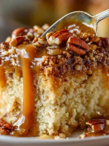 Moist slice of butter pecan praline poke cake with gooey caramel drips and crunchy pecans. Ultra-indulgent texture shown close up with visible praline layers.