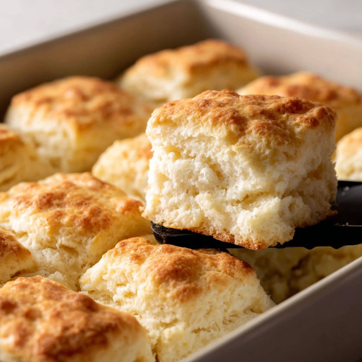 Golden, fluffy butter swim biscuits baked in a pan, with a tender, layered texture.