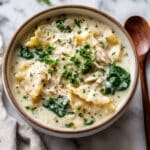 White lasagna soup with creamy broth, chicken, pasta, and melted cheese in rustic bowl.