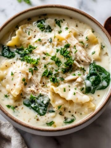White lasagna soup with creamy broth, chicken, pasta, and melted cheese in rustic bowl.