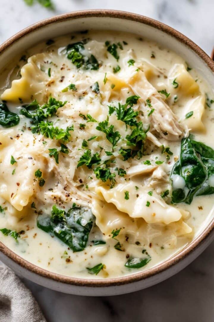 White lasagna soup with creamy broth, chicken, pasta, and melted cheese in rustic bowl.