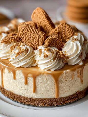 Biscoff cookie butter cheesecake with a thick creamy filling, crunchy Biscoff cookie crust, and a glossy cookie butter drip around the edges.