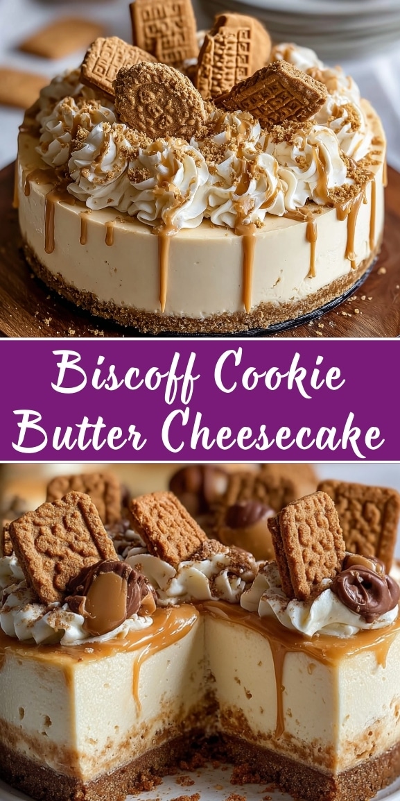 Biscoff cookie butter cheesecake with whipped topping, caramel drip, and Biscoff cookies on top.