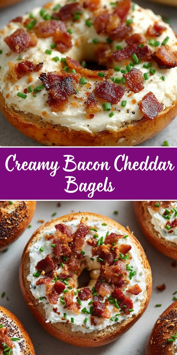 Toasted bagel topped with creamy cheddar cheese spread, crispy bacon bits, fresh chives, and black pepper